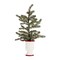Melrose Set of 2 Potted Frosted Pine Artificial Christmas Tree, Unlit